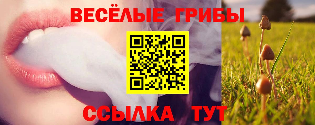 Псилоцибиновые грибы ЛСД  Галлюциногенные грибы Psilocybe  Балахна  Вход с VPN 