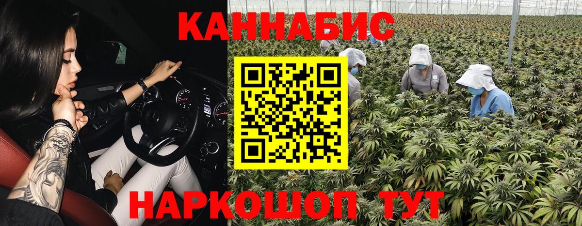 Шишки марихуана планчик Балахна
